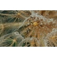 thumbnail image 2 of Filosofo, El 32x22 White Modern Wood Framed Museum Art Print Titled - Starless, 2 of 4