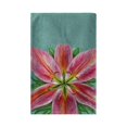 thumbnail image 1 of Betsy Drake BT701 30 x 50 in. Pink Lily Beach Towel, 1 of 1