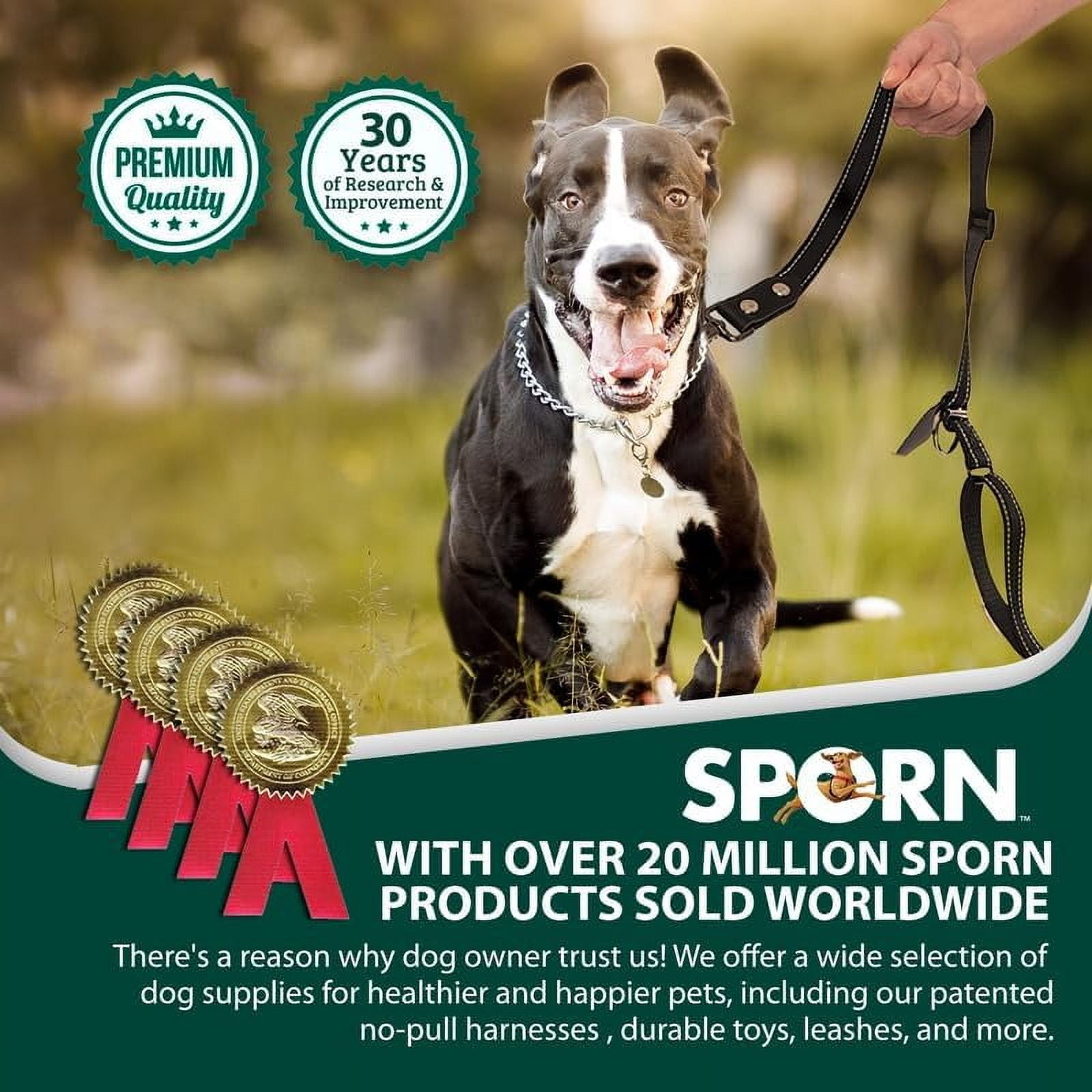 Sporn Child Co-Walk Training Dog Leash, 6 ft, Black