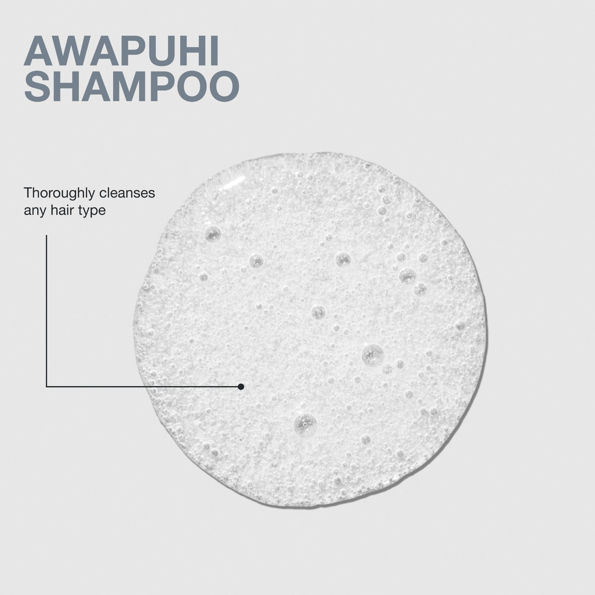 Paul Mitchell Awapuhi Shampoo, Balances Moisture + Adds Shine, For All Hair Types, Especially Fine + Static-Prone Hair, 16.9 fl oz