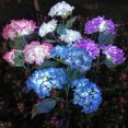 thumbnail image 1 of Linterna Solar Led Ganfancp Decorativa Exterior Flor 3 Cabezas, 1 of 5