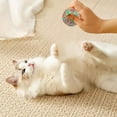 thumbnail image 3 of Jouets pour Animaux en Fil Pur Design Auto-Jouant pour Chat, 3 of 4