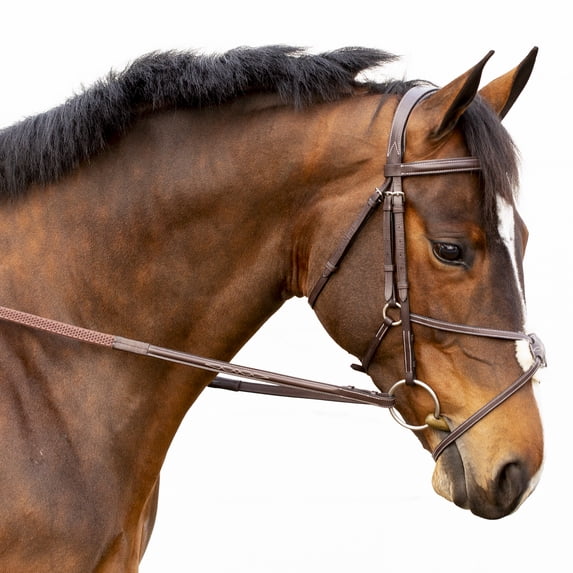 Equinavia Valkyrie Fancy Stitched Padded Figure 8 Bridle with Reins