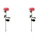 thumbnail image 1 of Solar Crisantemo Tierra Jardín Al Aire Libre () Rosa, 1 of 8