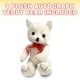 thumbnail image 2 of Oso de peluche autógrafo de felpa ArtCreativity, 28 cm, graduación, 2 of 7