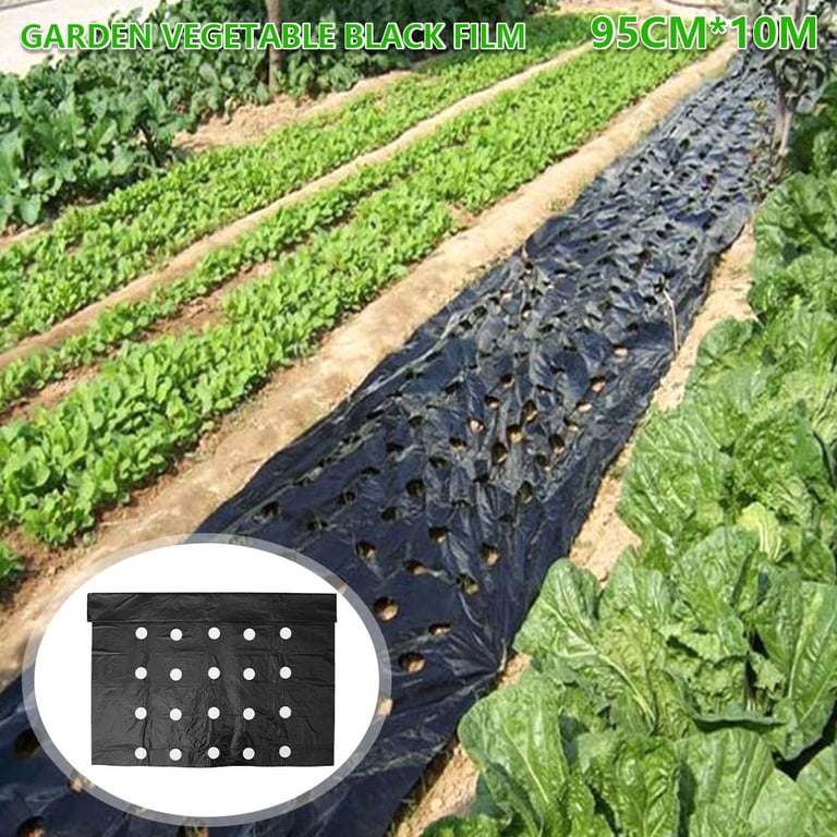 Fyeme Garden Agricultural Plastic Sheet Greenhouse Cover Vegetable Weed  Control Cloth Planting Hole Plastic Black Film - Walmart.com