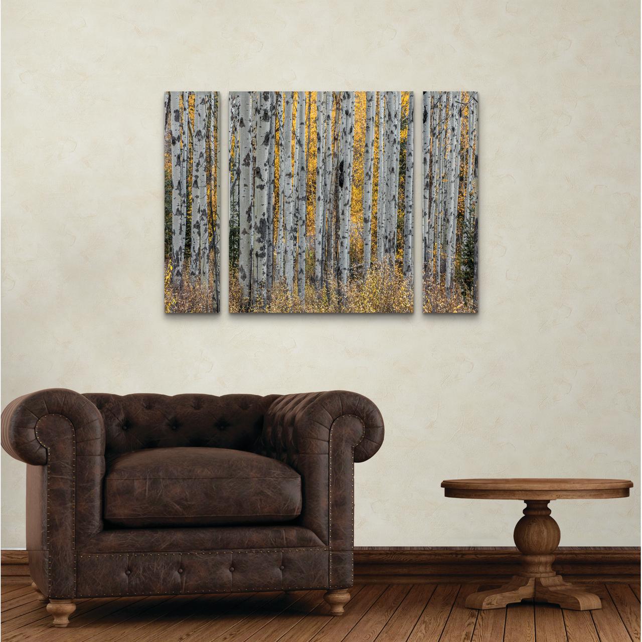 Trademark Fine Art 'Aspen Trees' Canvas Art by Pierre Leclerc