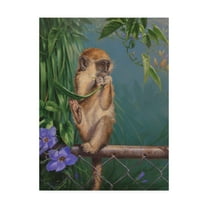 Trademark Fine Art 'Eating A Leaf' Canvas Art by Michael Jackson