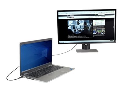 Black Box USB-C to DisplayPort Adapter Cable, 4K60, HDR, 6ft