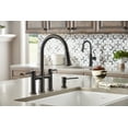 thumbnail image 2 of Blanco 442519 Empressa Soap Dispenser - Oil Rubbed Bronze, 2 of 2