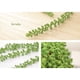 thumbnail image 3 of Suculentas artificiales con perlas, enredadera verde carnosa, flores colgantes de ratán, simulación de cadena de perlas, cesta para amantes de las plantas, decoración del hogar y el jardín., 3 of 5