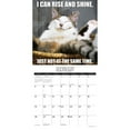 Willow Creek Press, Cat Astrophe 2025 Wall Calendar