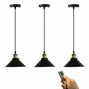 FSLiving 3-Lights 100 Lumens Multi-Function Led Remote Control Battery Run Indoor No Cord Black Retro Pendant Light for Aisle Bedroom Laundry Loft-Easy Installation, Dimmable,Battery Not Included