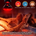 thumbnail image 4 of Combinación de bombillas de calor para reptiles MIXJOY, 100 W, día y noche, 4 of 8