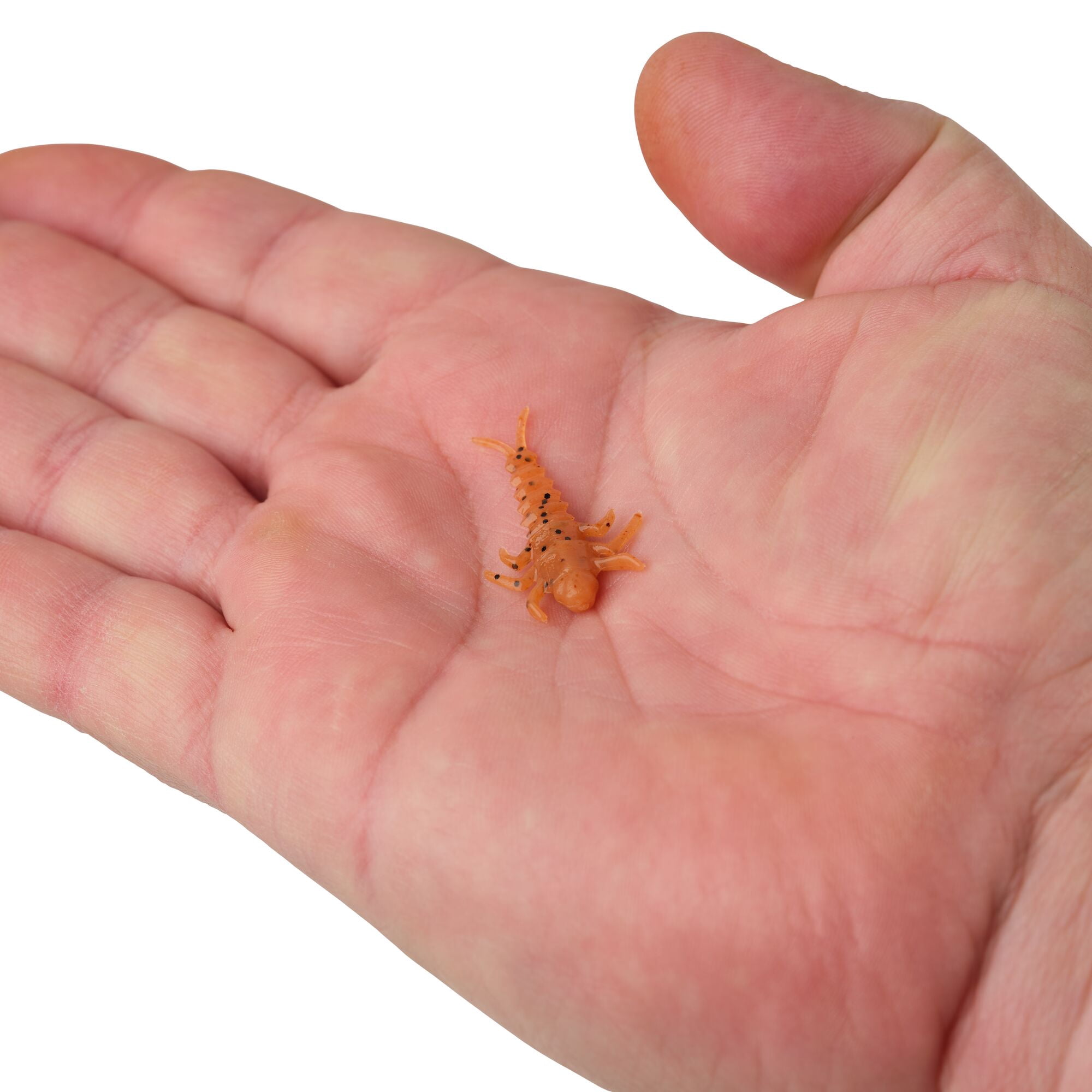 Berkley Gulp! Alive!® Stonefly, 1.25 in, Creatures, Pumpkinseed (1 Count)
