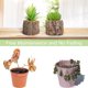 thumbnail image 3 of 2 mini suculentas simuladas en miniatura, bonitas plantas en maceta para decoración de escritorio, 3 of 6