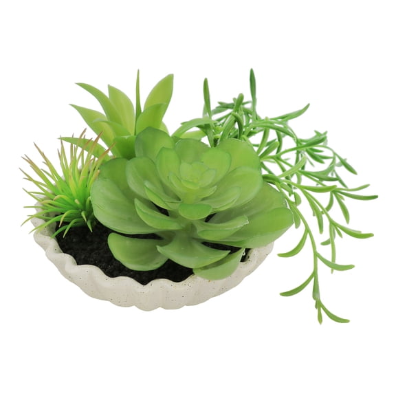 7" Premade Succulent Mix in Ceramic Ruffle Bowl by Ashland  - Spring Floral for Crafting and Home Decor