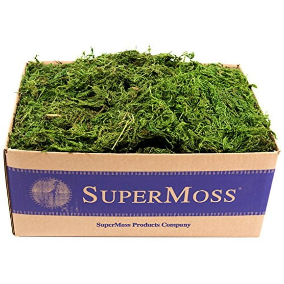 SuperMoss (25325) Forest Moss Preserved, Fresh Green, 3lbs