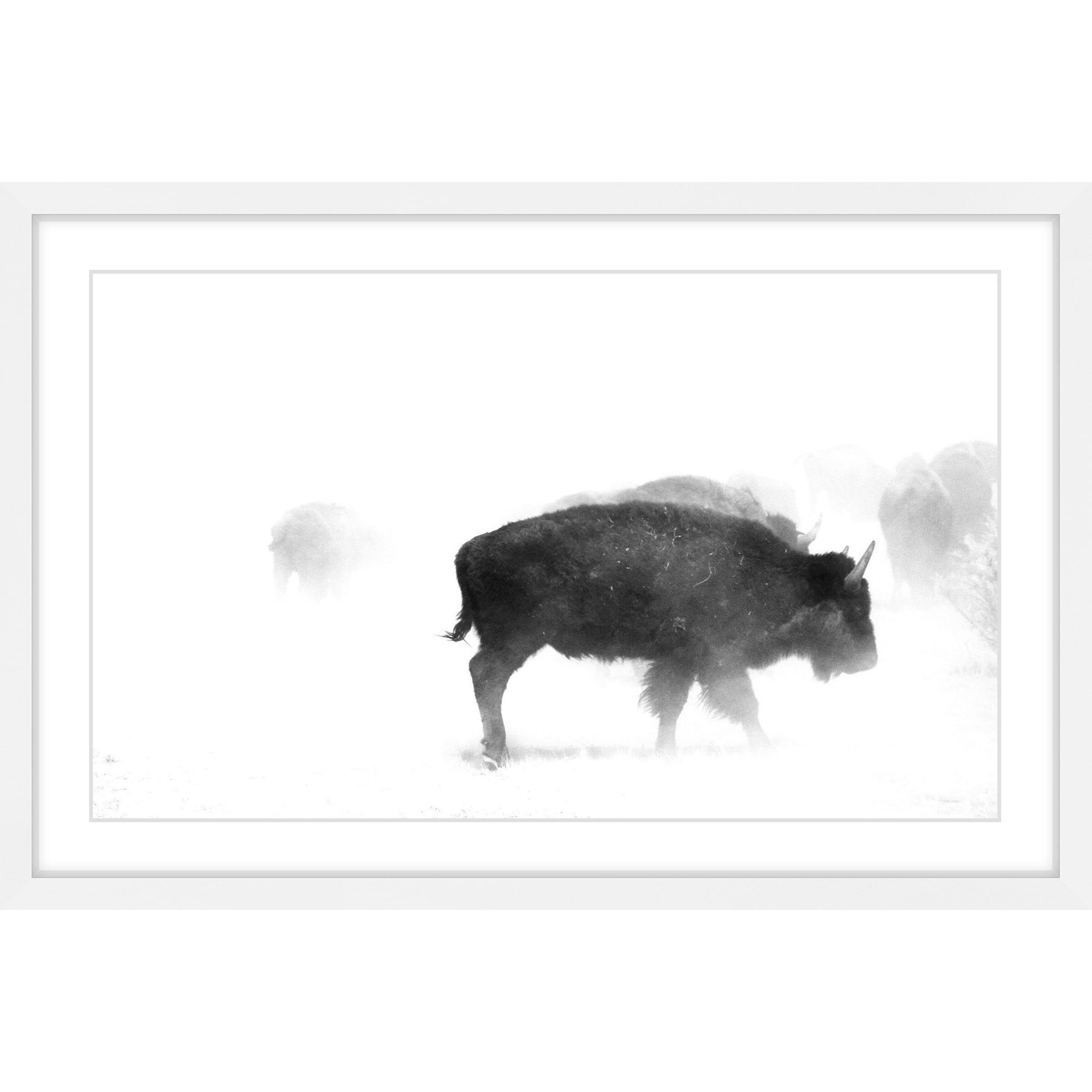 Marmont Hill "Buffalo Mist" Framed Painting Print