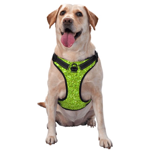 Fotbe Lime green glitter Arnés para Perro con Estampado –Chaleco Ajustable Acolchado con Asa de Control para Perros Grandes-Medium
