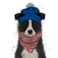 thumbnail image 3 of Fab Funky 12x14 Black Modern Framed Museum Art Print Titled - Border Collie in Blue Bobble Hat, 3 of 5
