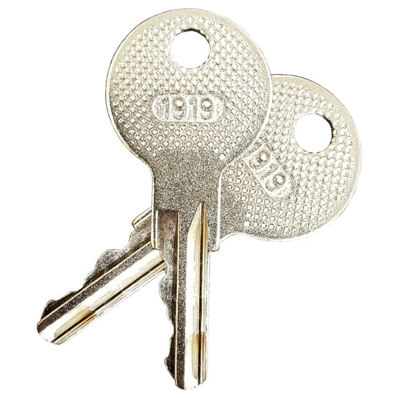 EZGO (1982-Up) Gas And Electric Golf Cart Replacement Ignition Key (Set of 2)