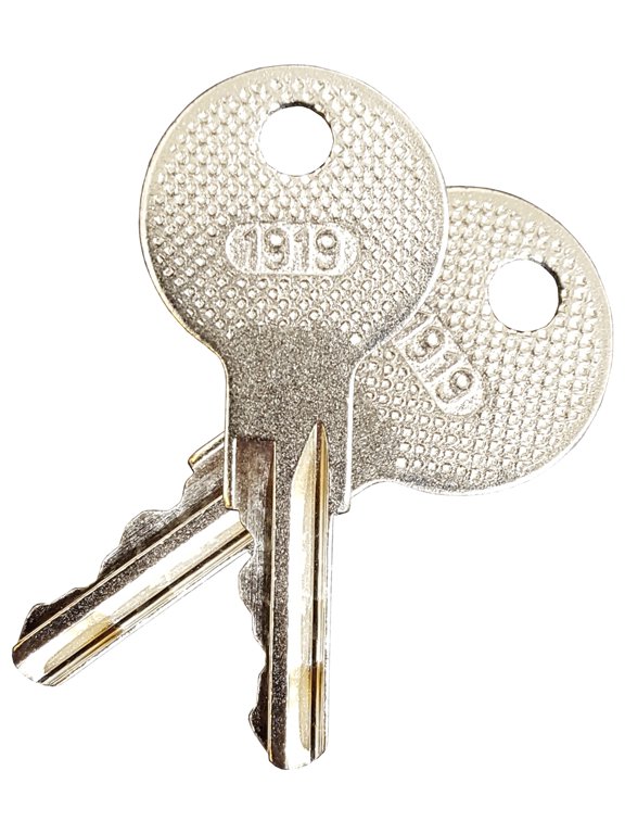 EZGO (1982-Up) Gas And Electric Golf Cart Replacement Ignition Key (Set of 2)