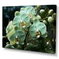 thumbnail image 2 of Designart "Realistically Elegant Green Orchids" Orchids Canvas Wall Art, 2 of 7