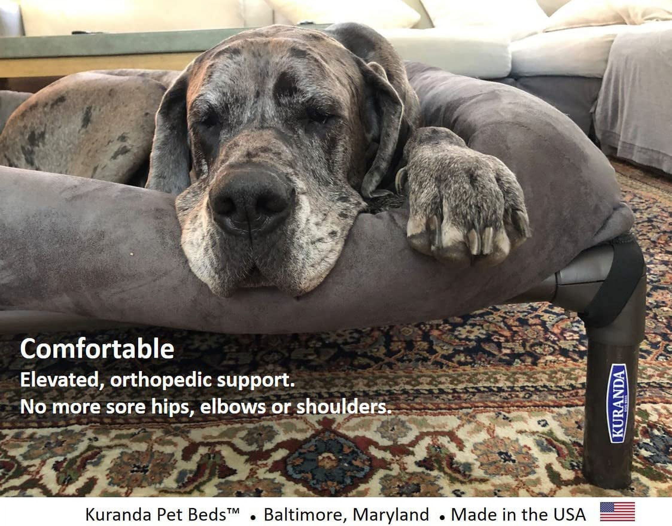 Kuranda Dog Beds Ebay