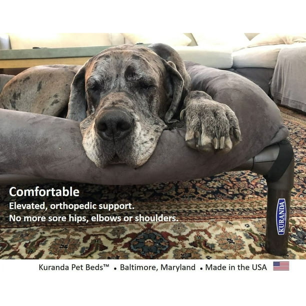 Kuranda Large to Small Pet Raised Bed Chewproof, Orthopedic