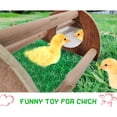 thumbnail image 4 of Chicken Perch for Chicks Natural Wood Roosting Bar with Mirror Bird Wood Stand Training Toy for Coop Easy to Install, 4 of 8