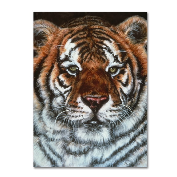 Trademark Fine Art 'Awesome Beauty' Canvas Art by Jenny Newland