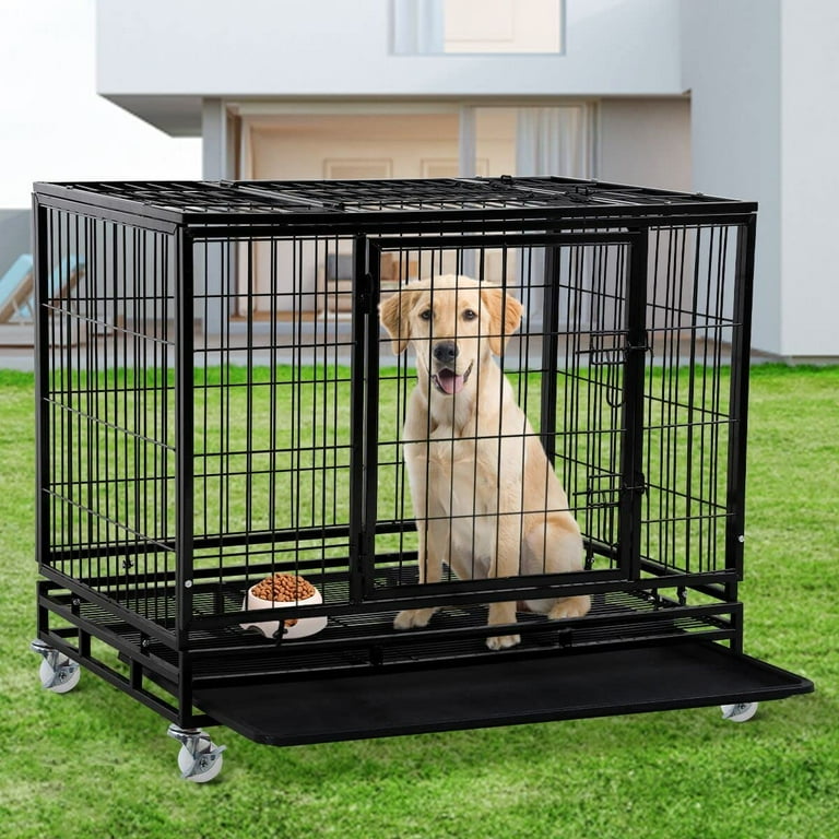 Xl Dog Crates Walmart 100 Genuine clc.cet.edu