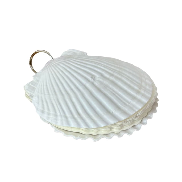 Hearth & Gear Henpk Natural Sea Notebook 40 Pages Seashell Notebook With Natural Refillable Loose Leaf Sketch Book Note Pad Portable Notebook For Writing Lined Stationery Paper And Envelopes Set