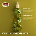 thumbnail image 6 of African Pride Olive Miracle 2-In-1 Shampoo & Conditioner Anti-Breakage Formula, 12 Oz, 6 of 6