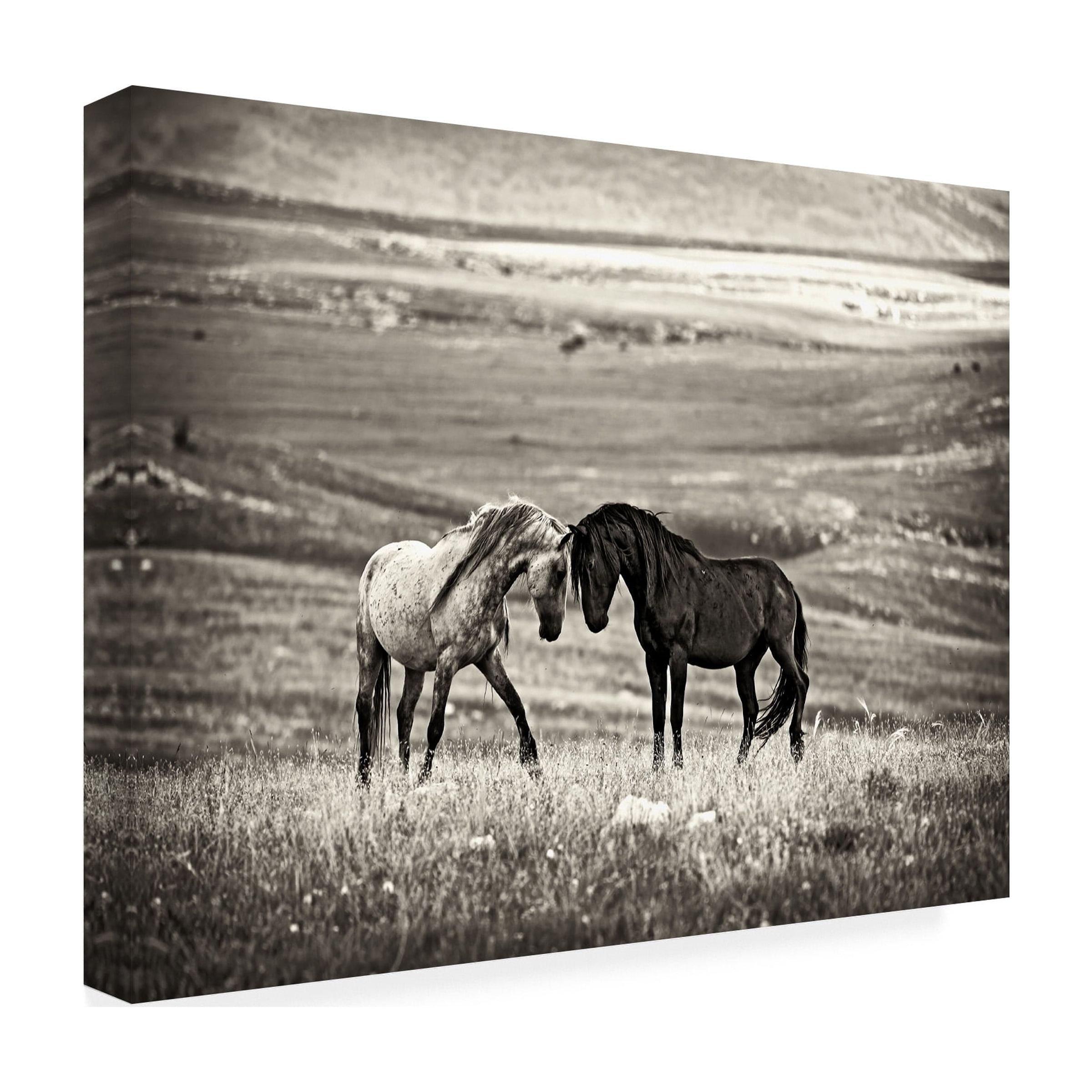 Vedran Vidak 'Close Encounter' Canvas Art