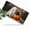 Ghost and Black, variant on 1 Pcs 2D Flat License Plate Covers & Frames, Autumn Elements For Decorative Front, Waterproof For Decoration Aluminum License Plate Covers & Frames Cover For Men Women, 12" X 6"