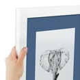thumbnail image 6 of ArtToFrames 16x16" Matted Picture Frame with 12x12" Single Mat Photo Opening Framed in 1.25" Satin White Frame and 2" Royal Mat (FWM-3966-16x16), 6 of 8