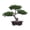 Style A, variant on Artificial Welcoming Tree Pot Plant Bonsai Decorative Novel and Unique Sturdy Multipurpose Desktop Display for Terrace, Windowsill Style C