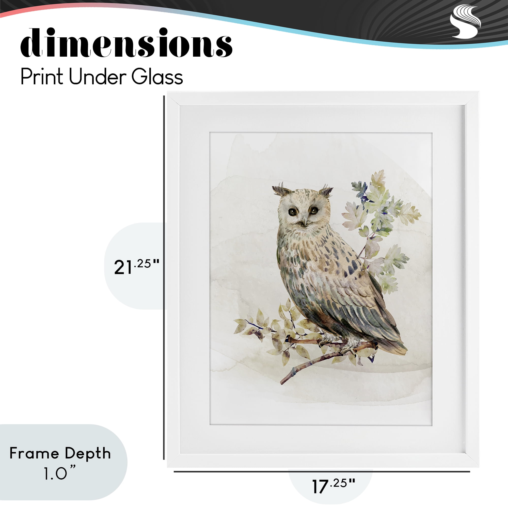 Stupell Industries Forest Owl with Foliage White Framed Print Under Glass, design by CAD Designs