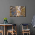 thumbnail image 4 of Luxe Metal Art 'Aspen II' by Lori Deiter, Metal Wall Art, 36"x24", 4 of 9