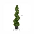 thumbnail image 3 of Vickerman 3' Artificial Potted Green Boxwood Spiral Tree., 3 of 7