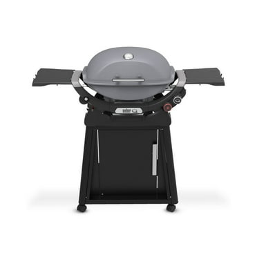 Weber Q2800N  Gas Grill (Liquid Propane) With Stand Bundle, Smoke Grey