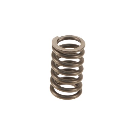Genuine Exhaust Spring