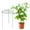 🔥 green_New#463, variant on Peony Support Cages 3 Pack | Metal Plant Support Frames with 3 Legs | 13.8" Diameter x 17.7" Height | Garden Stakes for Peonies, Roses, Tomatoes, Begonias | Sturdy Green Coated Iron Plant Holders