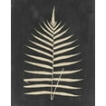 thumbnail image 2 of Vision Studio 12x14 White Modern Wood Framed Museum Art Print Titled - Linen Fern III, 2 of 4