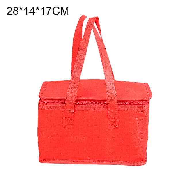 DabuLiu Portable Lunch Cooler Bag Folding Insulation Picnic Ice Pack