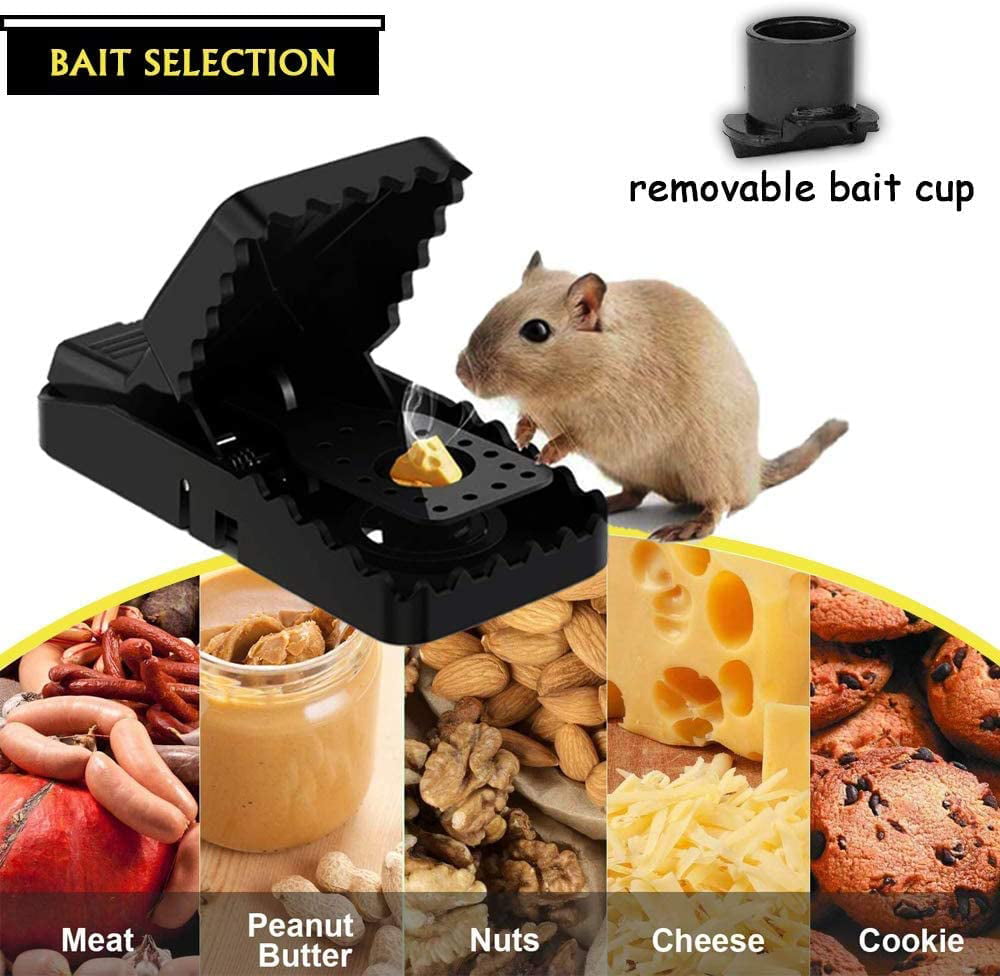6 Pack Mouse Traps Rat Mice Snap Trap - Bed Bath & Beyond - 39134880