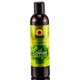 thumbnail image 1 of Gel de baño y ducha Tropic Isle Living Cerassee Bush 240 ml, 1 of 1