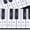 Black/White, variant on Piano Keyboard Stickers for 37/49/54/61/88 Full Set Transparent Stickers Kids and Beginners Learning Piano, Removable, Leaves No Residue, Black and White